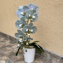 Cserepes orchidea