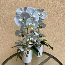 Cserepes orchidea
