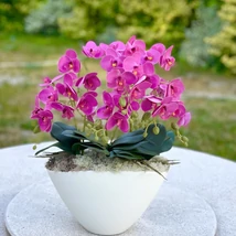 Cserepes orchidea