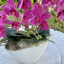 Cserepes orchidea