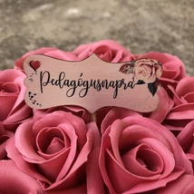 Pedagógusnapra felirat  - halvány rózsaszín, hosszúkás