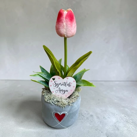 Anyák napi ajándék