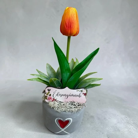 Anyák napi ajándék