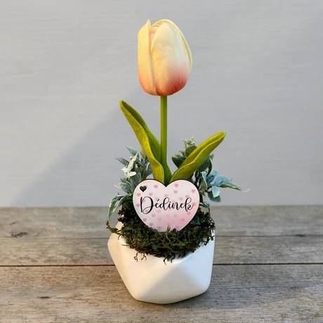 Anyák napi ajándék