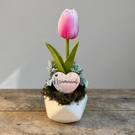 Anyák napi ajándék