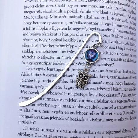 Baglyos könyvjelző