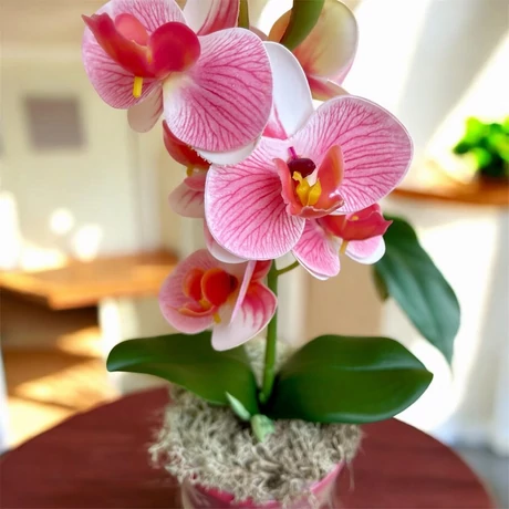 Páros akció - 2 db prémium minőségű, 1 szálas, cserepes mű orchidea - 35 cm magas, szívecskés kaspóban