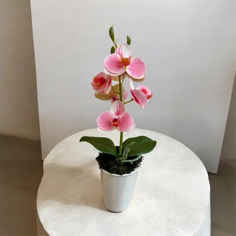 Páros akció - 2 db prémium minőségű, 1 szálas, cserepes mű orchidea - 35 cm magas, keskeny, bézs kaspóban, fehér és élénk rózsaszín virággal