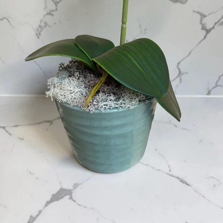 Prémium minőségű, óriás, cserepes mű orchidea - 55 cm magas, zöldes kaspóban, 9 fej púderrózsaszín virággal