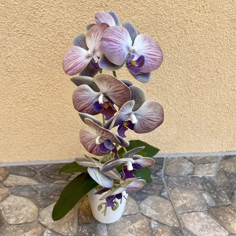 Cserepes orchidea
